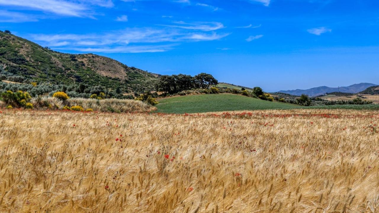 Almendros Antequera - Los Nogales By Ruralidays Villa Dış mekan fotoğraf